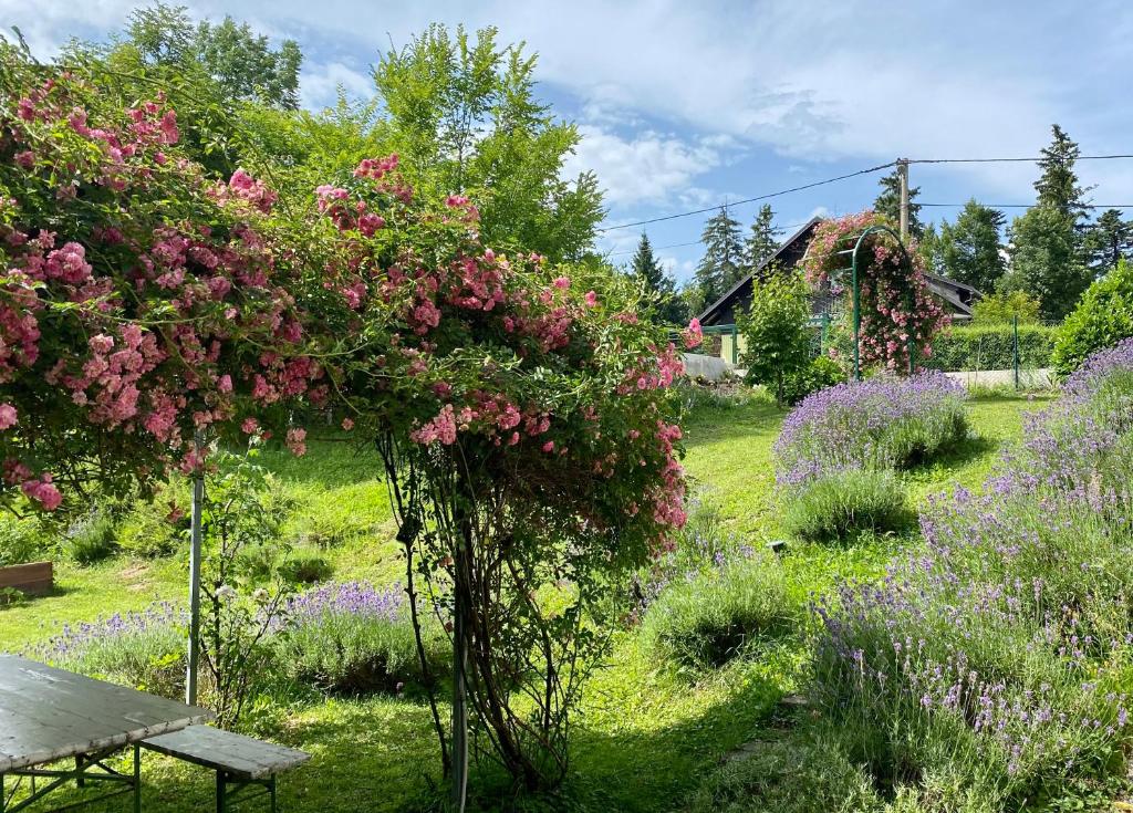 Vonkajšia záhrada v ubytovaní Apartments Montana