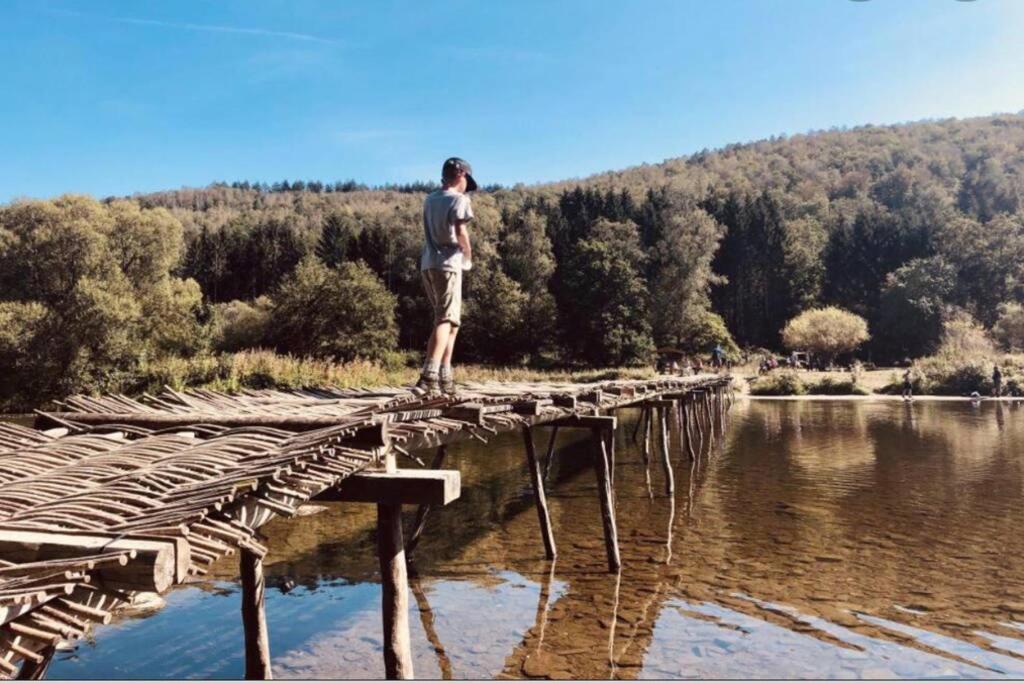 Příroda nedaleko apartmánu