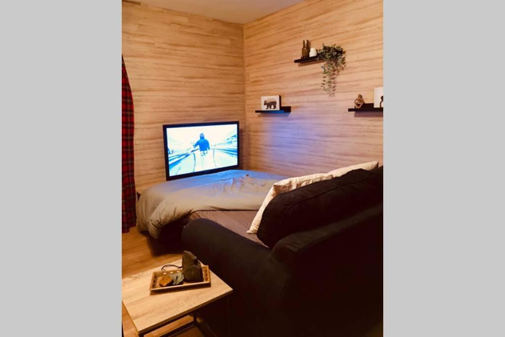 TV a/nebo společenská místnost v ubytování Gîte Authentic Ardenne