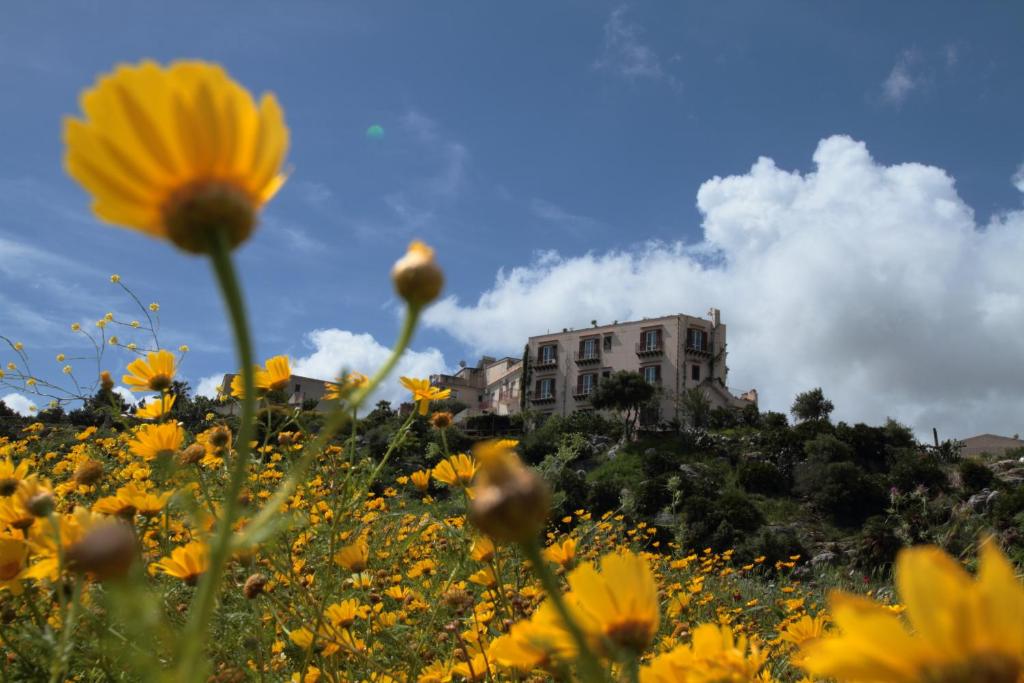 a field of yellow flowers with a building in the background at Torre Bennistra in Scopello