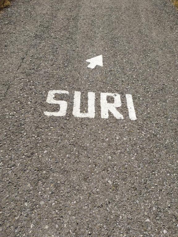 Fotografie z fotogalerie ubytování Suri v destinaci Plužine