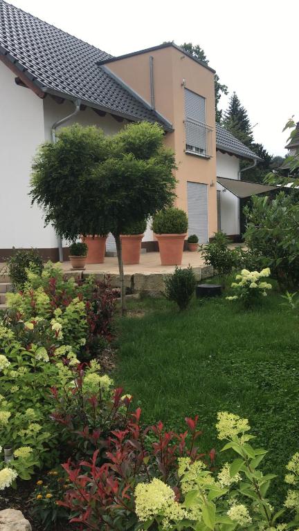 Zahrada ubytování Villa Florentine