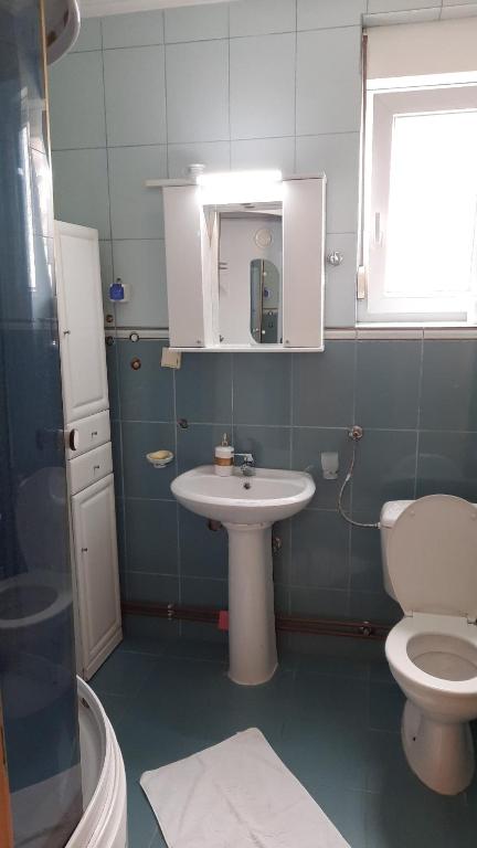 Koupelna v ubytování Apartmani Tomovic