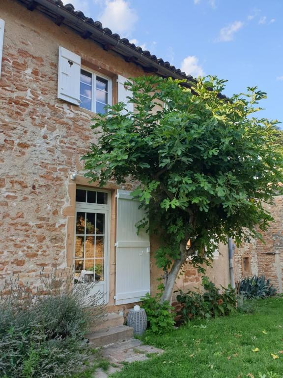 une maison avec un arbre en face dans l'établissement LE GITE DU CARGE D'ARLAY, à Charnay-lès-Mâcon