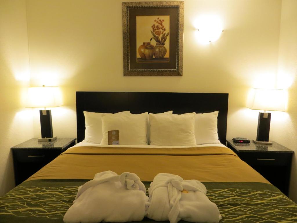 
King Jacuzzi Suite - Non-Smoking
