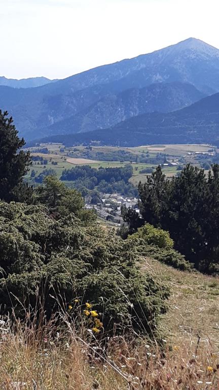 uma vista para um vale a partir de uma colina com árvores em La Chouette em Bolquère - Pyrénées 2000