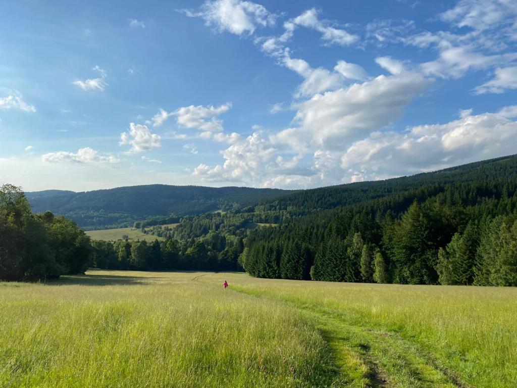 Příroda nedaleko apartmánu