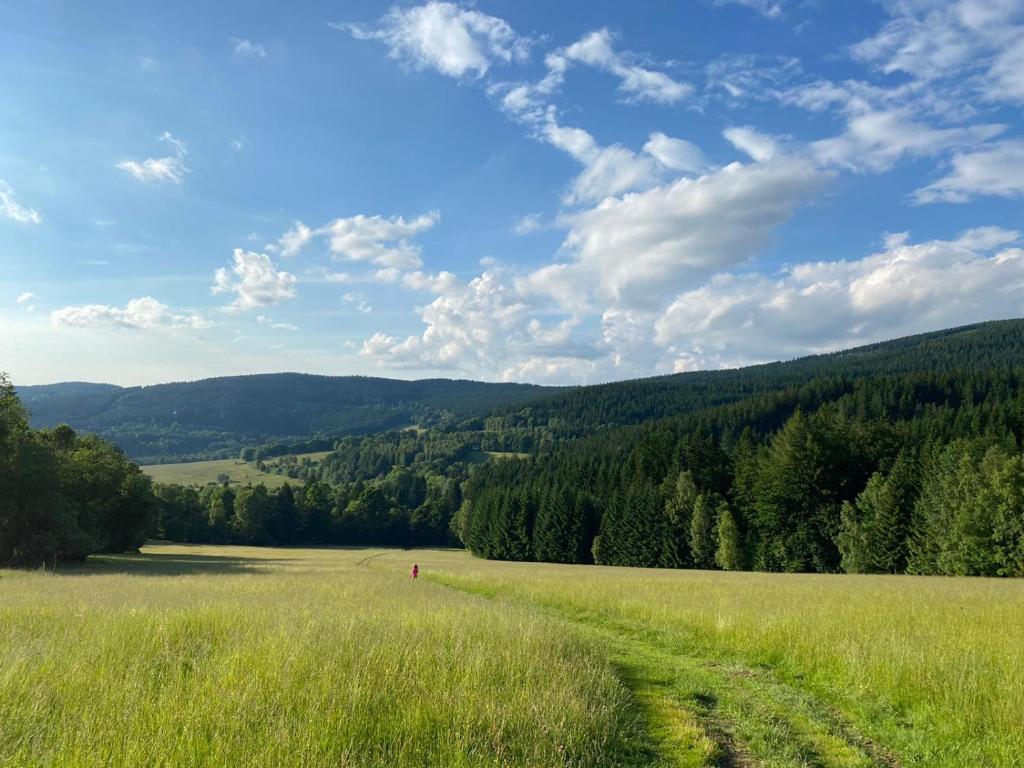 Příroda nedaleko apartmánu