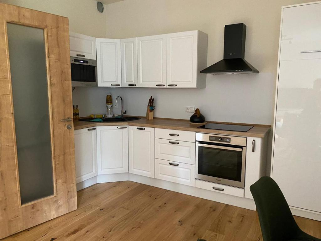 Kuchyň nebo kuchyňský kout v ubytování Apartmán Anna Viktoria v Brčálníku