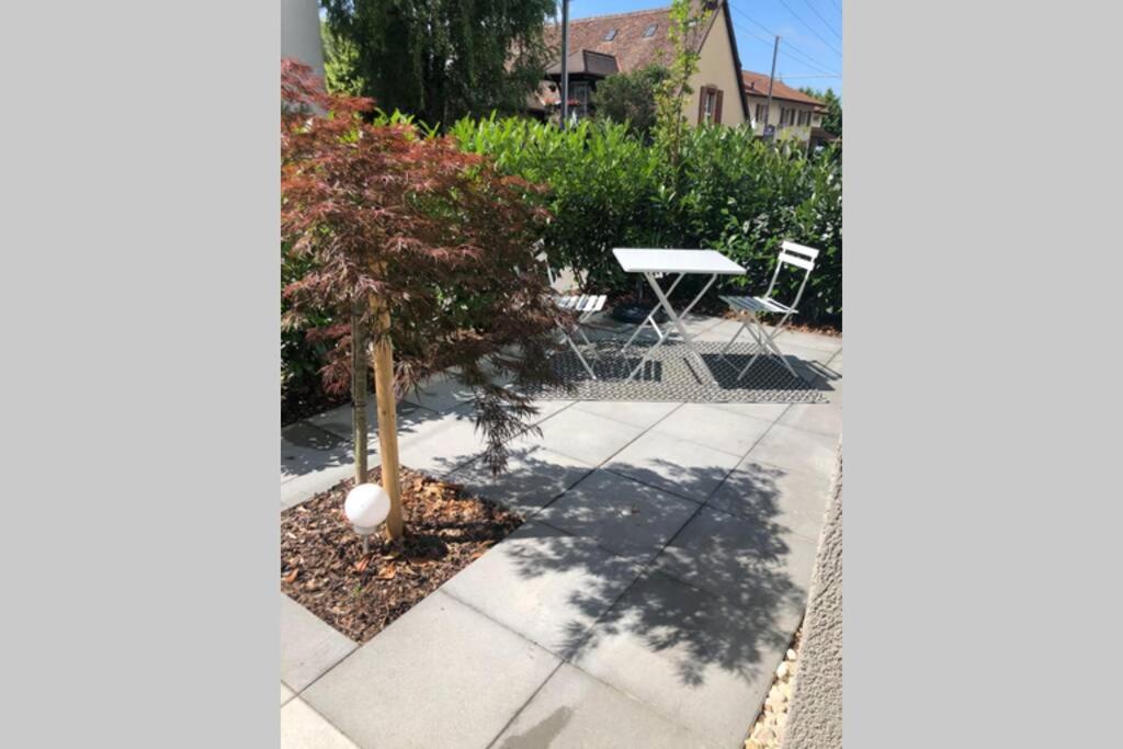 a tree sitting on a sidewalk next to a table at Beautiful Cocoon in Neuchâtel