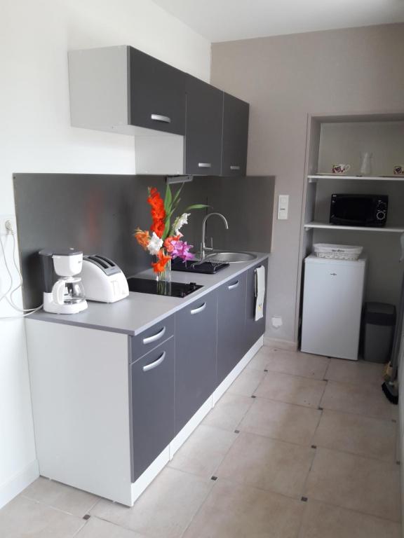- une cuisine avec des placards gris et un évier avec des fleurs sur le comptoir dans l'établissement Logis de LANGE studio 2 p, à Saint-Hilaire-la-Palud