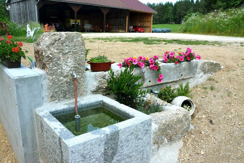Zahrada ubytování Landhof Böhm