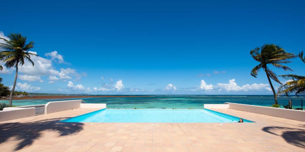 een zwembad naast de oceaan met palmbomen bij Eden Blue vue Mer et Piscine in Sainte-Anne
