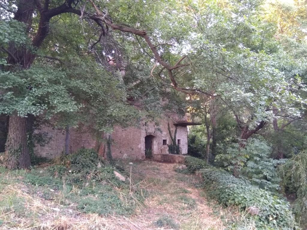 Vonkajšia záhrada v ubytovaní Jankovich Castle