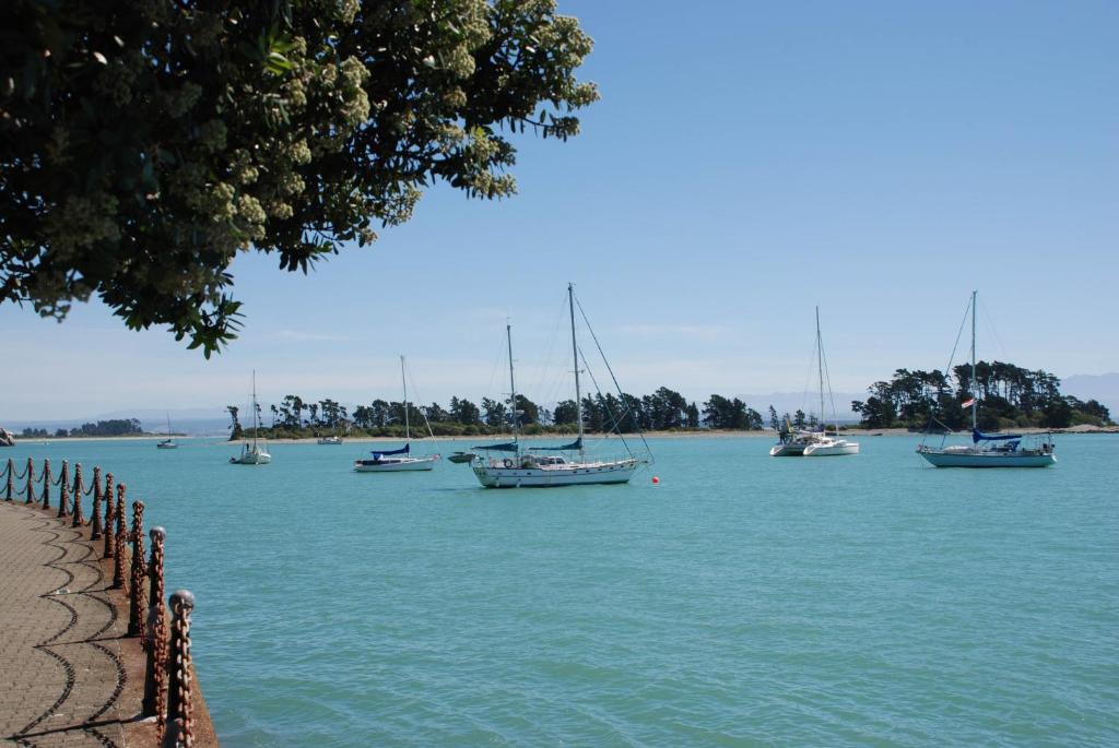 Century Park - Resim 16