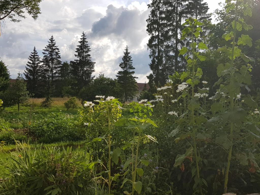 Zahrada ubytování La Pause Ô Logis