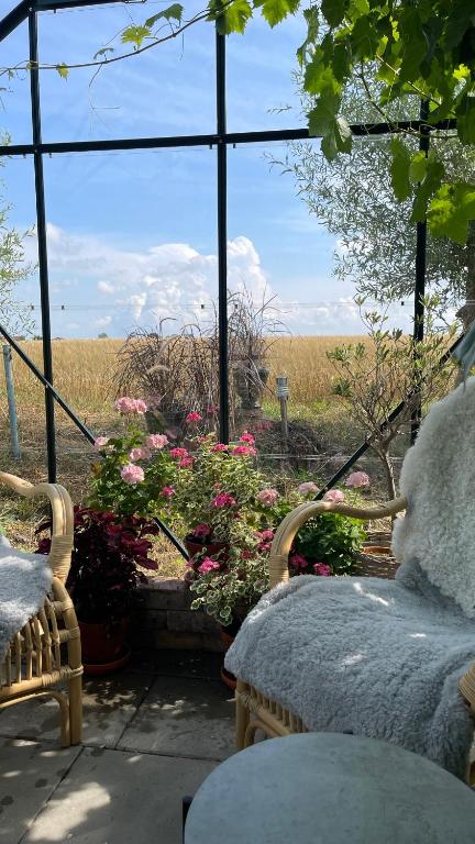 Zahrada ubytování Peppinge Bed & Breakfast