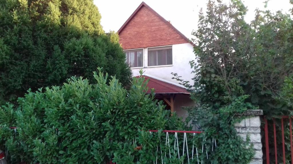 Zahrada ubytování Tiszafa Apartman