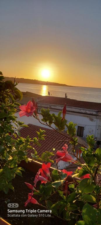 una puesta de sol en la playa con flores en primer plano en Casavistamare, en Augusta