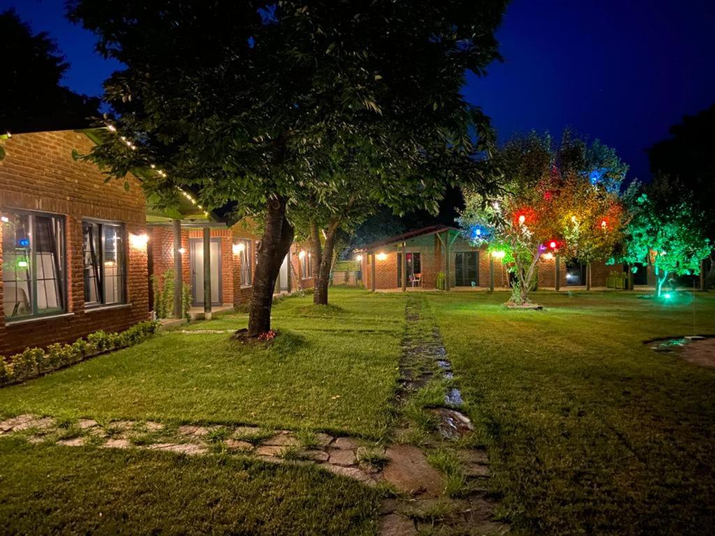 un patio de noche con luces en una casa en Sapancaminihouse en Sapanca