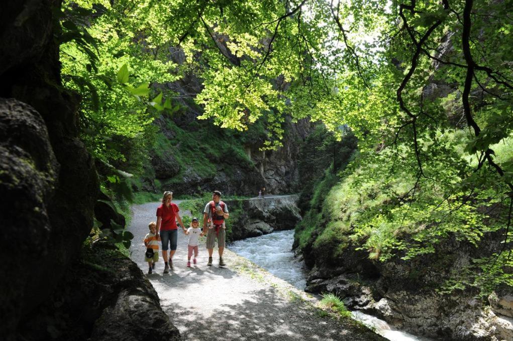 Příroda nedaleko apartmánu