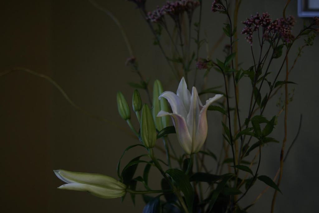 Fotografie z fotogalerie ubytování Ryokan Yamamuro v destinaci Kanazawa