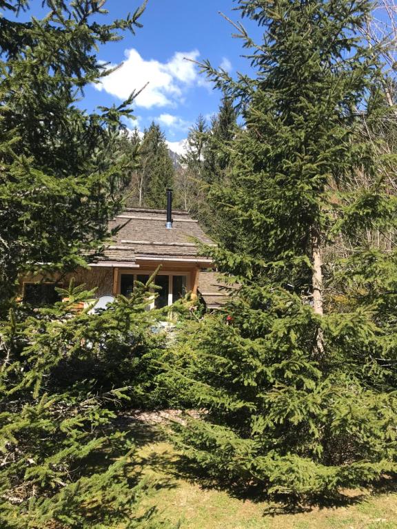 uma casa obscurecida por árvores em frente a uma casa em Chalet Cristal Trail em Chamonix-Mont-Blanc