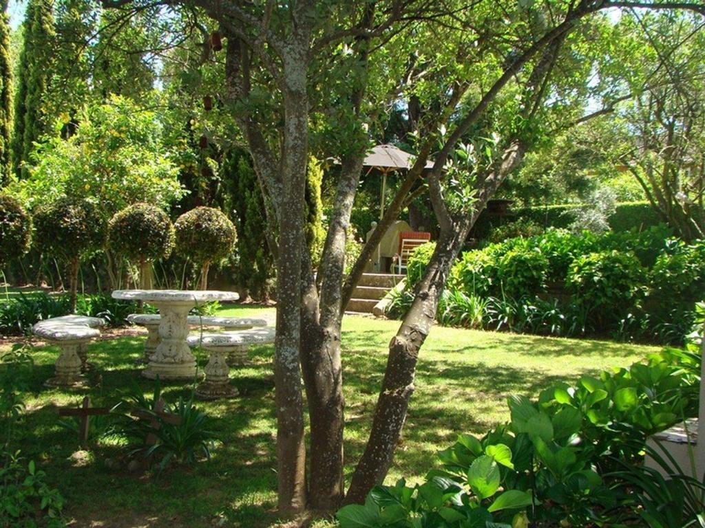 Un jardín fuera de De Oude Pastorie