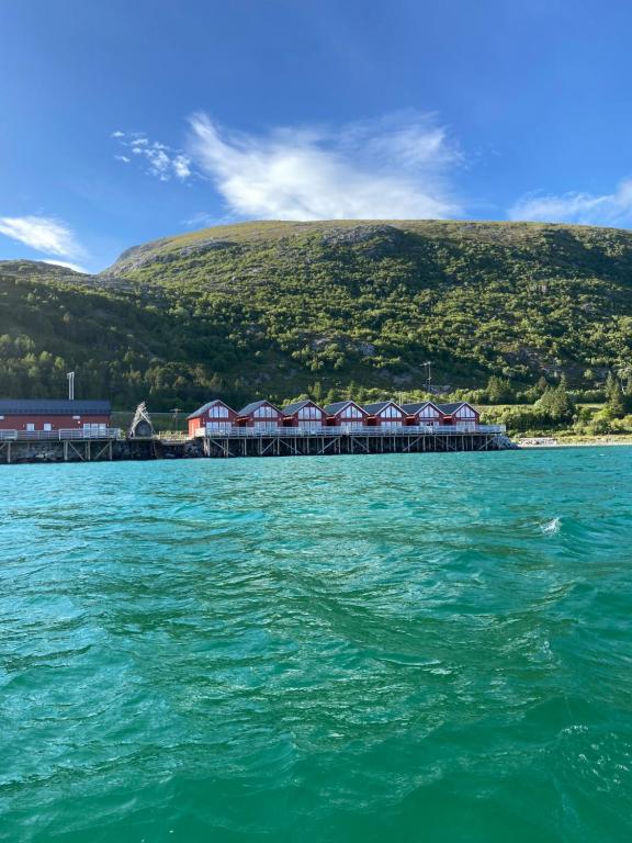 een resort aan de oever van een waterlichaam bij Amazing fisherman cabin in the heart of Lofoten in Leknes