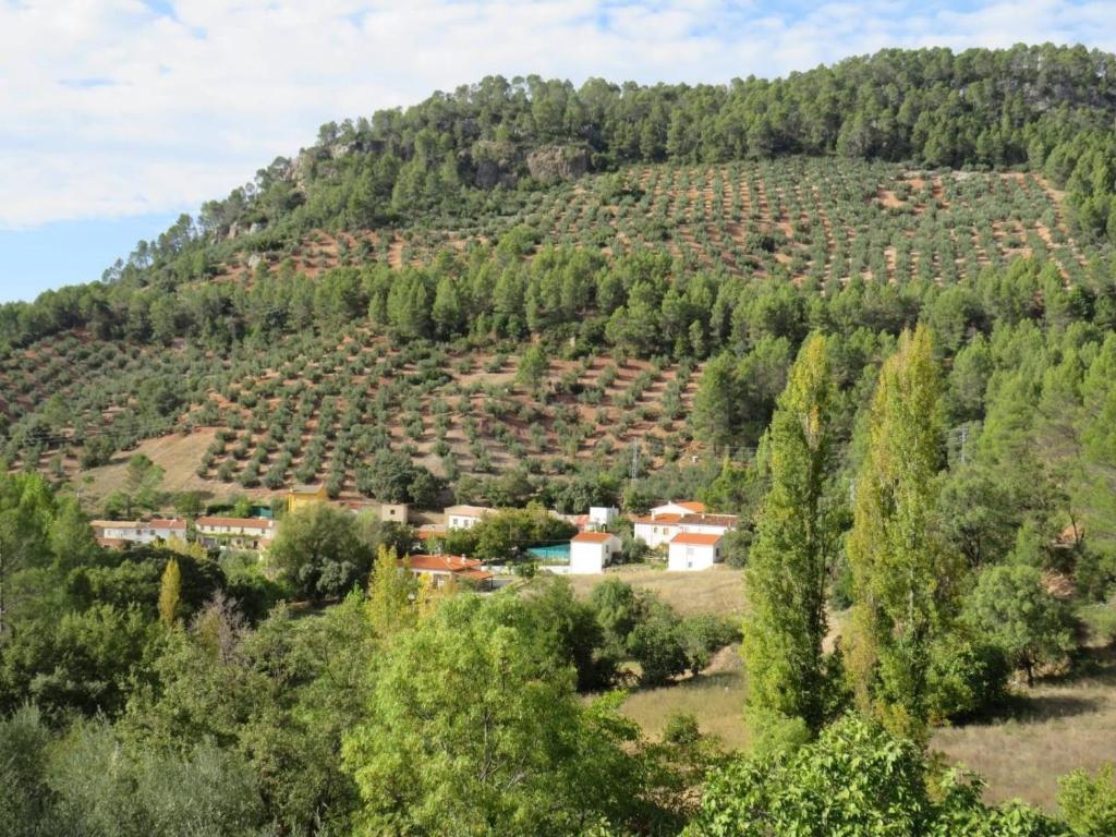 Príroda v okolí dovolenkového domu