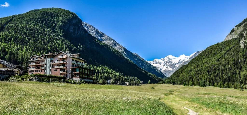 a hotel in a valley with mountains in the background at Bellevue Hotel & SPA in Cogne