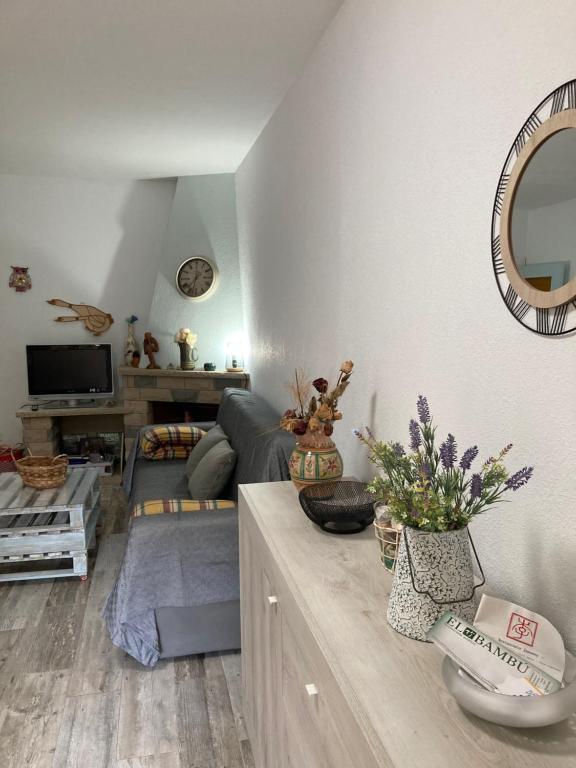 TV a/nebo společenská místnost v ubytování Apartament ca l'Irene