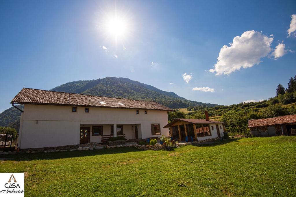 a house in a field with a mountain in the background at Casa Andreas in Zărneşti