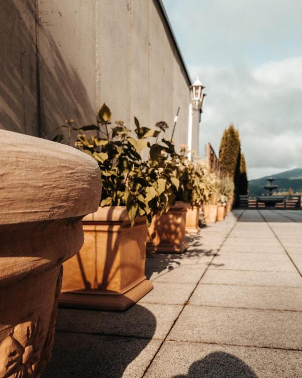 Fotografie z fotogalerie ubytování Waldhotel Seefeld v destinaci Seefeld in Tirol