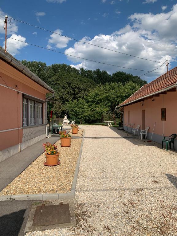 rząd roślin doniczkowych na boku budynku w obiekcie Sajó Vendégház w mieście Sajószöged