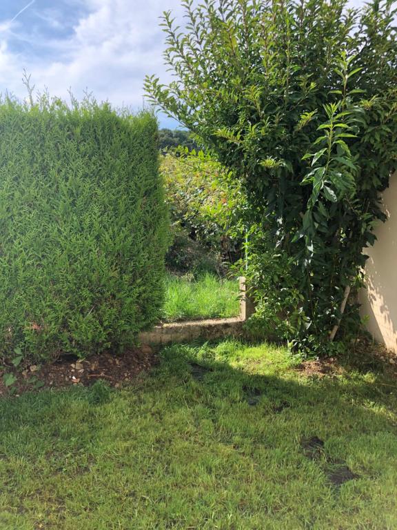 two bushes in the grass next to a building at L’échappée Bulles in Épernay