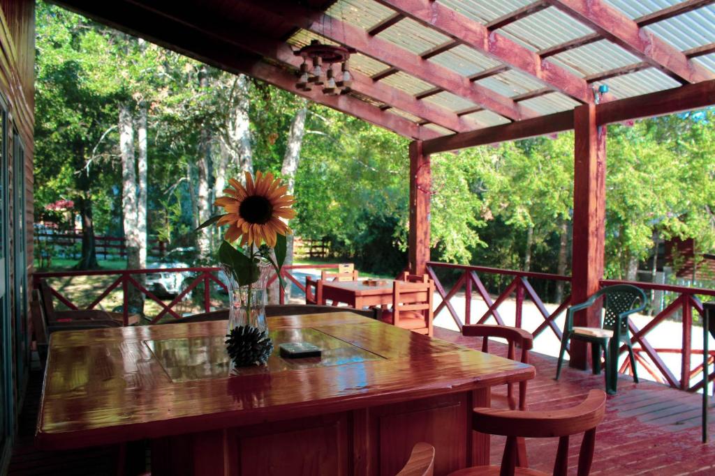 Zahrada ubytování La Casona Caburgua