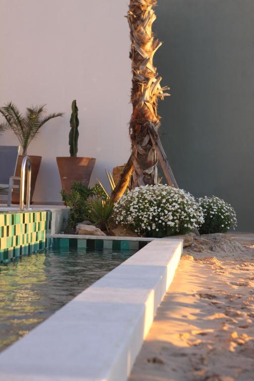 a swimming pool with a palm tree and flowers at Dakhla South Bay in Dakhla