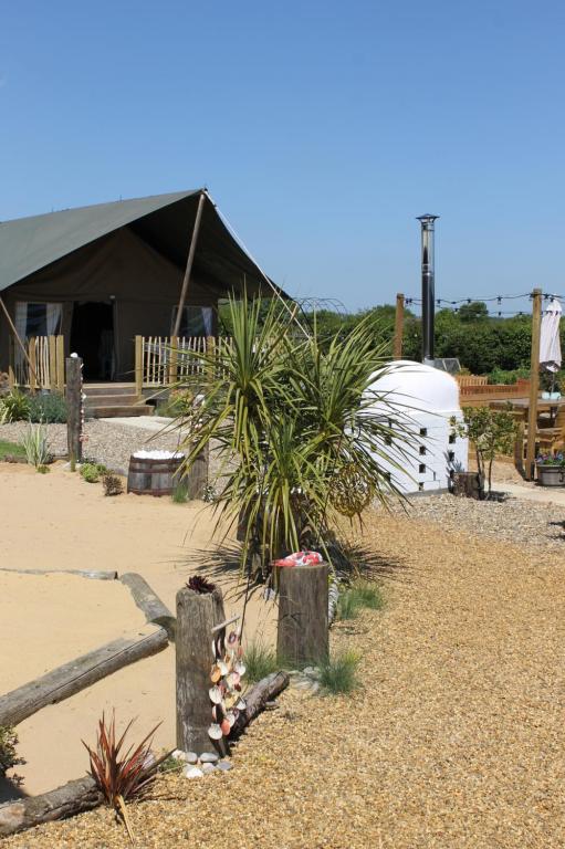 a house with a palm tree and a tent at Green Rabbit Glamping in Diss