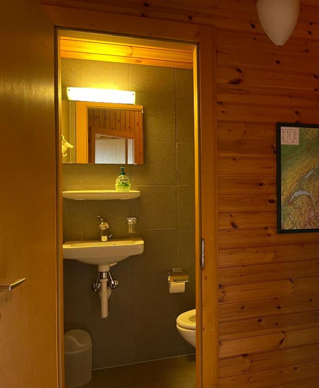 Koupelna v ubytování Chalet Sonnenröschen
