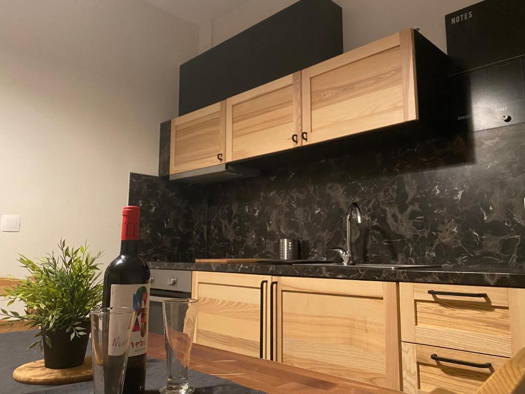 Kuchyň nebo kuchyňský kout v ubytování Davidana Deluxe Apartments