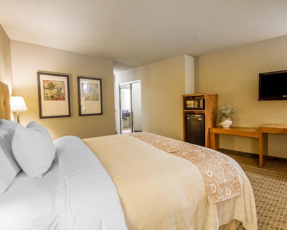 Gaia Hotel & Spa, Ascend Hotel Collection - Room King Con Ducha Enrollable: Accesible/no Fumar