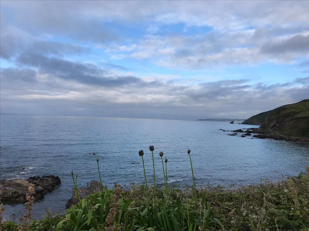 a view of a body of water with flowers at Cosy double room in a seaside cottage in Crafthole