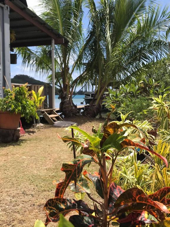 Toa Lodge Bora Bora - photo 8 - Bora Bora, Polynésie