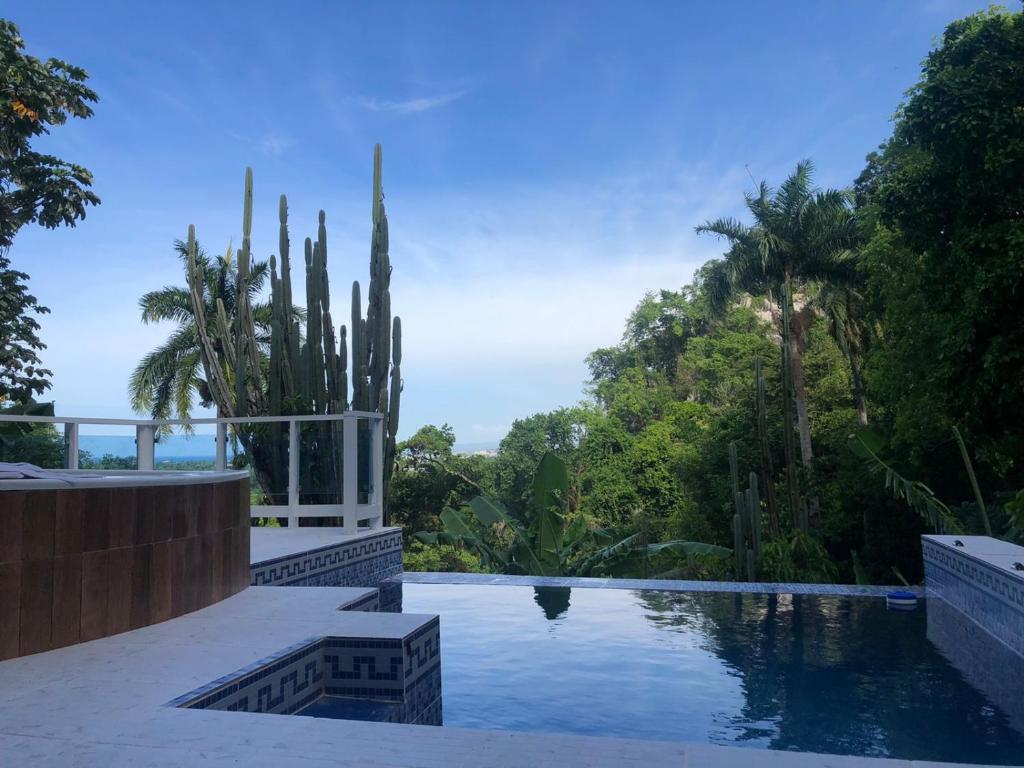 une piscine avec des cactus et des arbres en arrière-plan dans l'établissement Ruhig, gross mit herrlicher Aussicht, à San Felipe de Puerto Plata