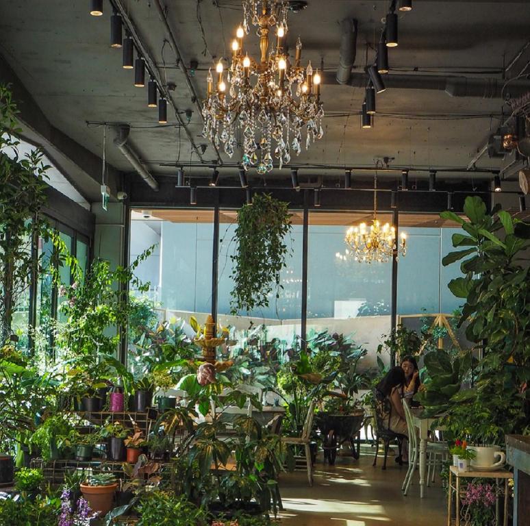 Quest North Sydney - Resim 31