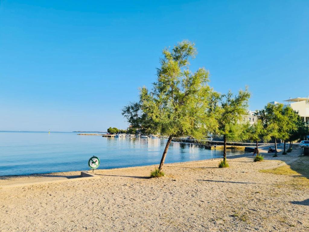 Príroda v okolí apartmánu