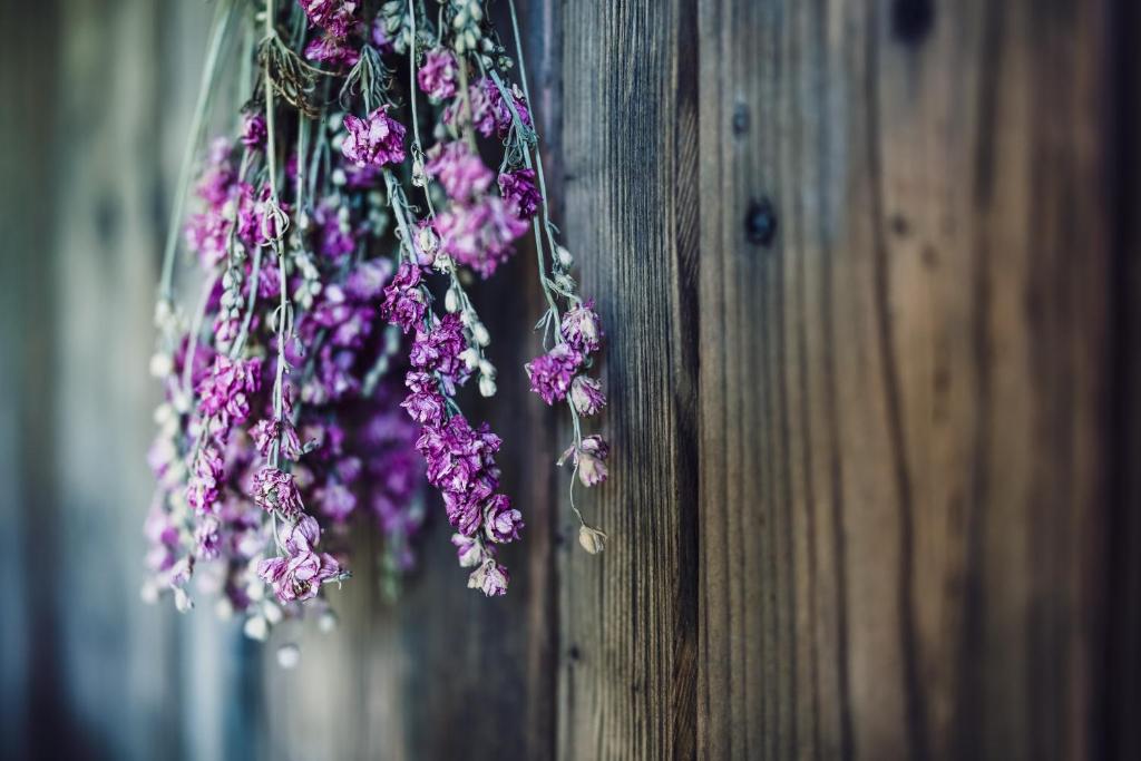 Fotografie z fotogalerie ubytování Die Lärchen-Lodge v Maishofenu