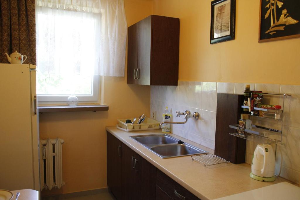 Kuchyňa alebo kuchynka v ubytovaní Apartment Widok