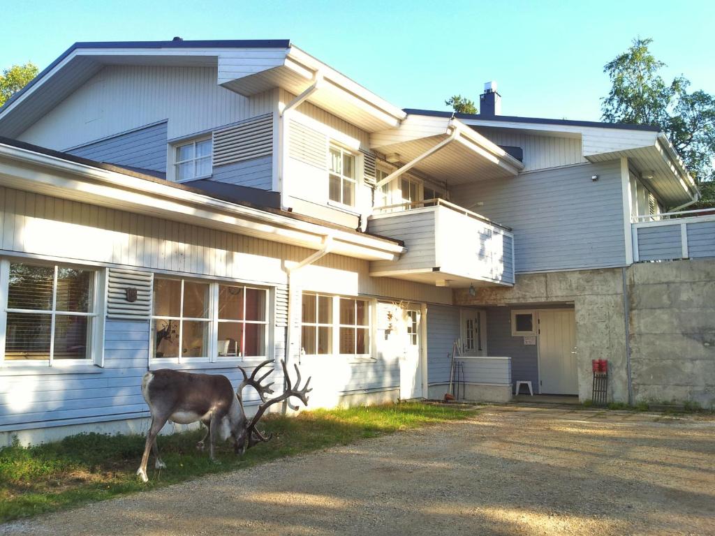 un ciervo parado frente a una casa en Kuukkeli Apartments, en Saariselkä